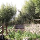 삼호공원 이미지