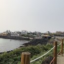 멘도롱민박