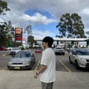 넬슨팜 | 24년 3월 / 호주 3일차 / 포트스테판투어 돌핀크루즈 샌드보드 B팜머리스와이너리 UMAYA