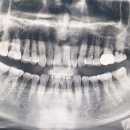 테마가있는치과의원 이미지