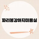 파리봉강아지미용실 이미지