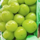 영일슈퍼 이미지