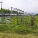 개군면사무소 이미지