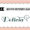 델리키아 이미지