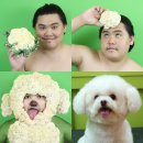 이남자의빵