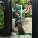 베가스테이 이미지