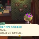 둥지박물관 네이버블로그