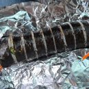 모도리김밥
