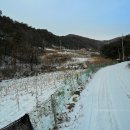 싸리치펜션 이미지