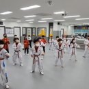 정인태권도 이미지