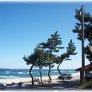 경포펜션민박 이미지