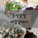 배꼽달래기