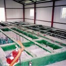 아란농장 이미지