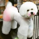 이츠펫(진천점) 이미지