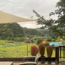 봉자펜션 이미지