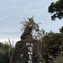 미영목장2 이미지