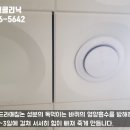 버그클리닉