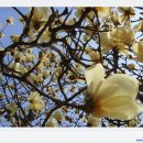 호법초교 이미지