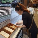 메이지산도 | 일본 도쿄 도심속 신성한 숲 메이지신궁 방문후기