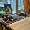 소마드로잉카페 | 파주운정드로잉카페 소마드로잉카페 내돈내산 솔직후기