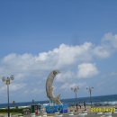 포항시청 이미지