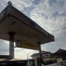 [경주]경주 멍스쿠터 대여, 내돈내산 경주놀거리 추천 : 경주고속스쿠터자전거대여점
