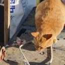 CU김포대명항점 이미지