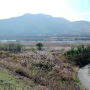 섬진강순환2 이미지