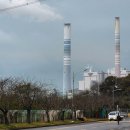 정산시장 이미지