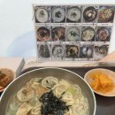 태릉정원내과의원 | 서울대병원 종양내과 진료 후기｜본관 앞 벚꽃 정원 풍경