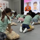 하버드유치원 이미지