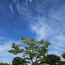 만보한의원 이미지