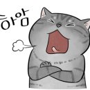 컴온비치호텔 이미지