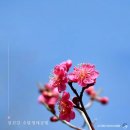 참좋은당신 - 영등포구 시흥대로187길 11 | 참좋은당신