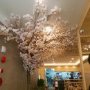 남포물회 이미지