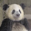 수원시 팔달구 향교로57번길 | 수원 오타쿠 굿즈샵 투어 (키라키라토모, 더쿠, ak몰 애니메이트 팝업까지)