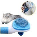 쭈 애견미용 이미지