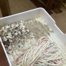 포천한우명가 | 임신 15주차 일상 / 청산명가 / 포천 허브아일랜드