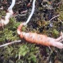 석화농장 이미지