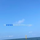 서정카라반펜션 이미지