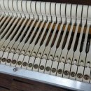 남창1길 이미지