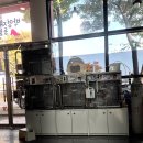 박영재 동물병원 | 전주동물병원) 박영재동물병원 진료 후기 #스켈링 #발치