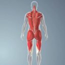 클럽밸런스5 분당이매점 이미지