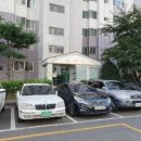 2차보성 이미지