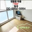 대성공인중개사사무소 및 대성광고 | 명륜동 대성, 가성비 좋은 미니 투룸 매물정보
