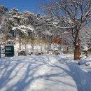 속리산아트힐링센터 이미지