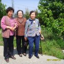 박실농장 이미지