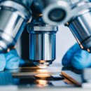 영등포 동물병원 이미지