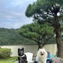 구름멍스테이 이미지