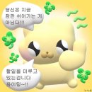 하마필름다대 | 2월의 감자